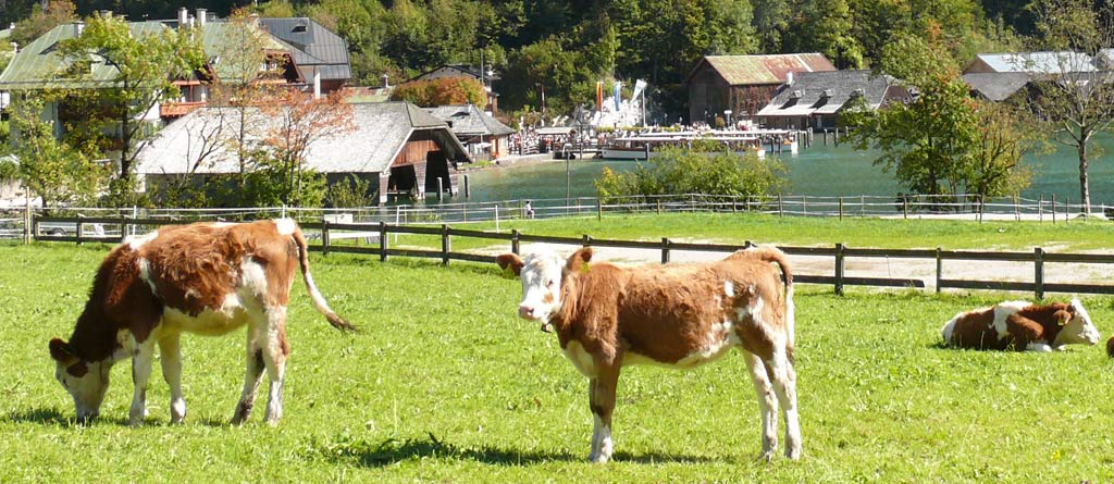 Fewo-Koller-Umgebung-Berchtesgaden-04